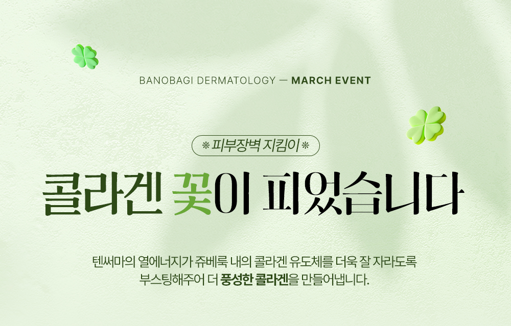 콜라겐 꽃이 피었습니다